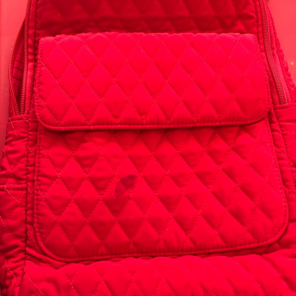 LG quilted backpack